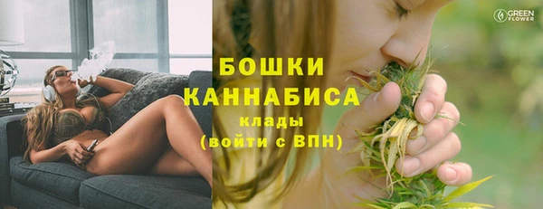 прущие грибы Липки