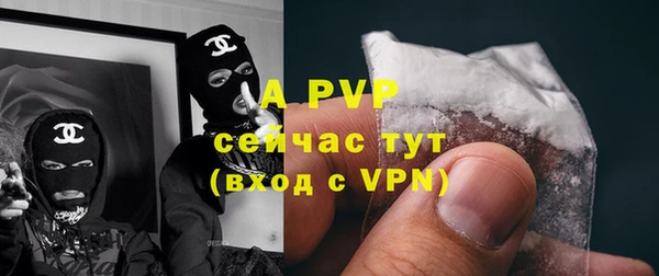 индика Абаза