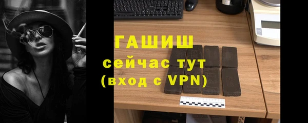индика Абаза