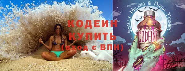 индика Абаза