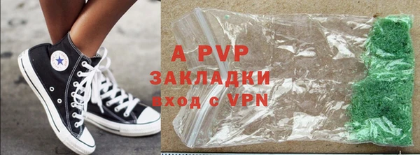 индика Абаза