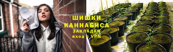 apvp Лиски