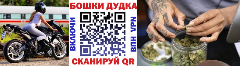 Конопля MAZAR  как найти   Ачхой-Мартан 